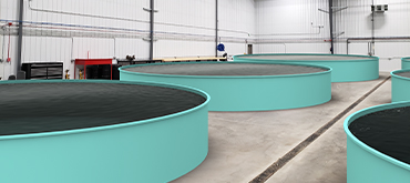 Aquaculture Tanks